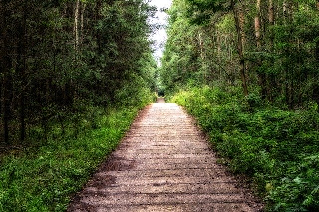 Path